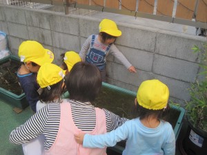 IMG_0047