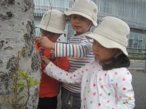 IMG_0190