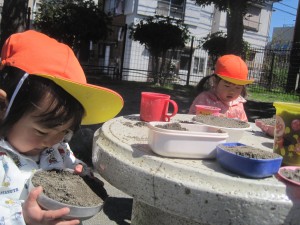 IMG_0340